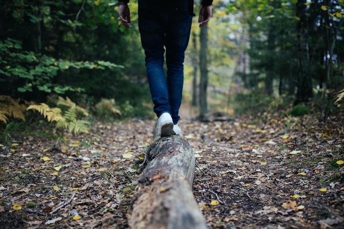 Bild zum Thema Vitalität & Gesundheit Zu sehen ist eine Person beim Waldspaziergang, die auf einem Baumstamm balanciert.