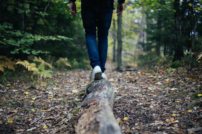 Zu sehen ist eine Person beim Waldspaziergang, die auf einem Baumstamm balanciert.