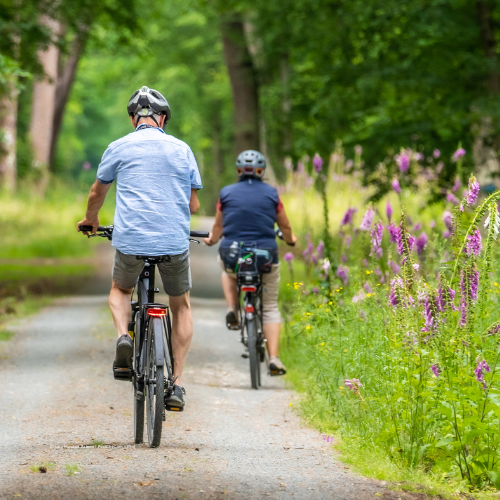 Rad fahren ist ein rückenfreundlicher Sport und zur Vorsorge empfohlen. Rückenfreundliche Sportart: Rad fahren