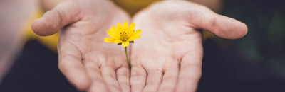 Zu sehen ist eine offene Hand mit einer Blüte.