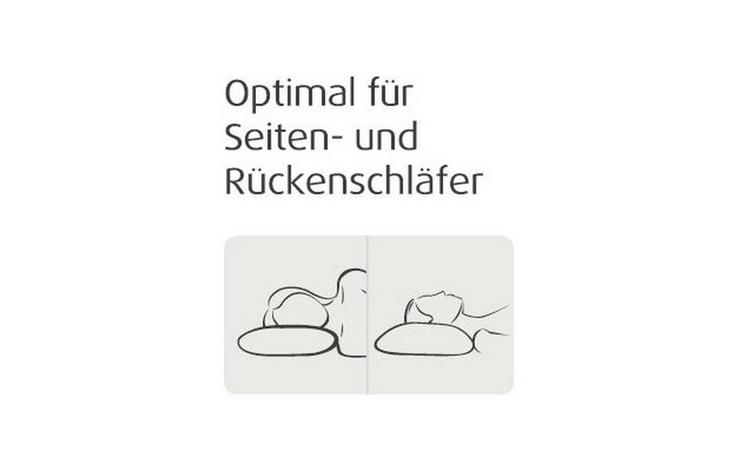 Tempur Schlafkissen Millennium