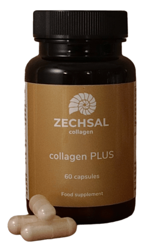 ZECHSAL Kollagen PLUS