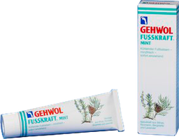 [001080092] Gehwol Fusskraft mint