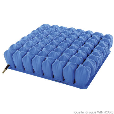 Kineris Mono Sitzkissen