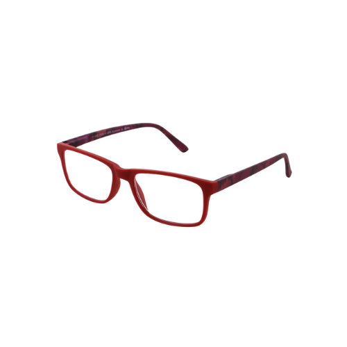Fertiglesebrille + Etui | Dfancy 2 Set KLH240