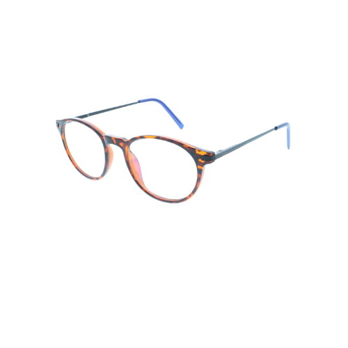 Fertiglesebrille + Etui | Blue Reader Set1 KLHB170