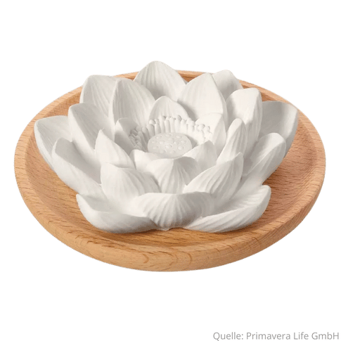[LUK0023542] Primavera Aroma Duftstein Lotusblüte